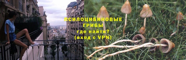 соль ск Михайловск