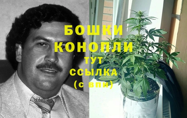 крисы Михайловка